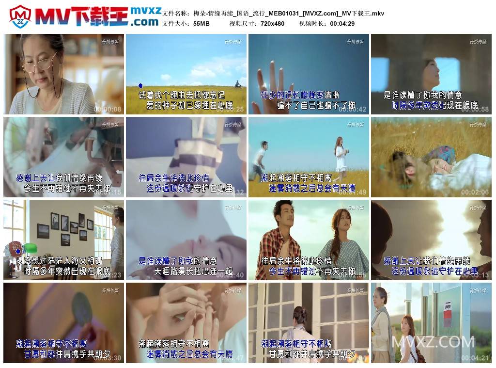 梅朵-情缘再续_国语_流行_MEB01031